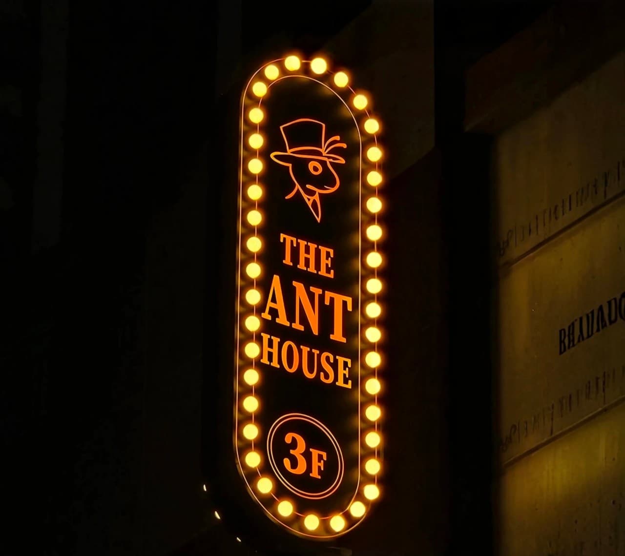 어두운 밤 노란 전구들이 둘러진 타원형 간판 속 캐릭터와 3층 표시가 주황색 네온 빛으로 빛남