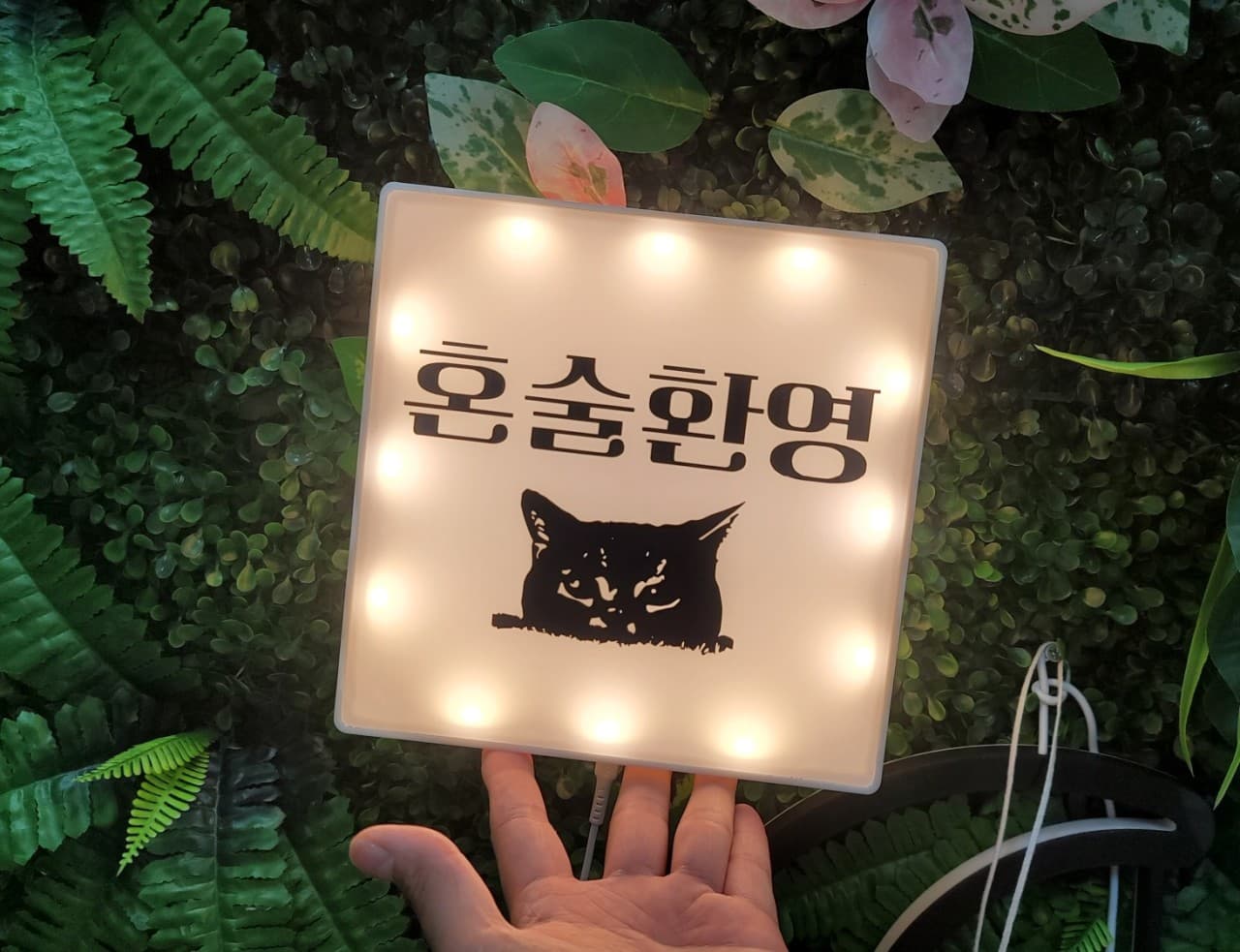 초록색 인조 식물 벽면을 배경으로 '혼술환영' 문구와 고양이 형상이 새겨진 사각 조명. 테두리에 박힌 작은 전구들이 빛나는 모습
