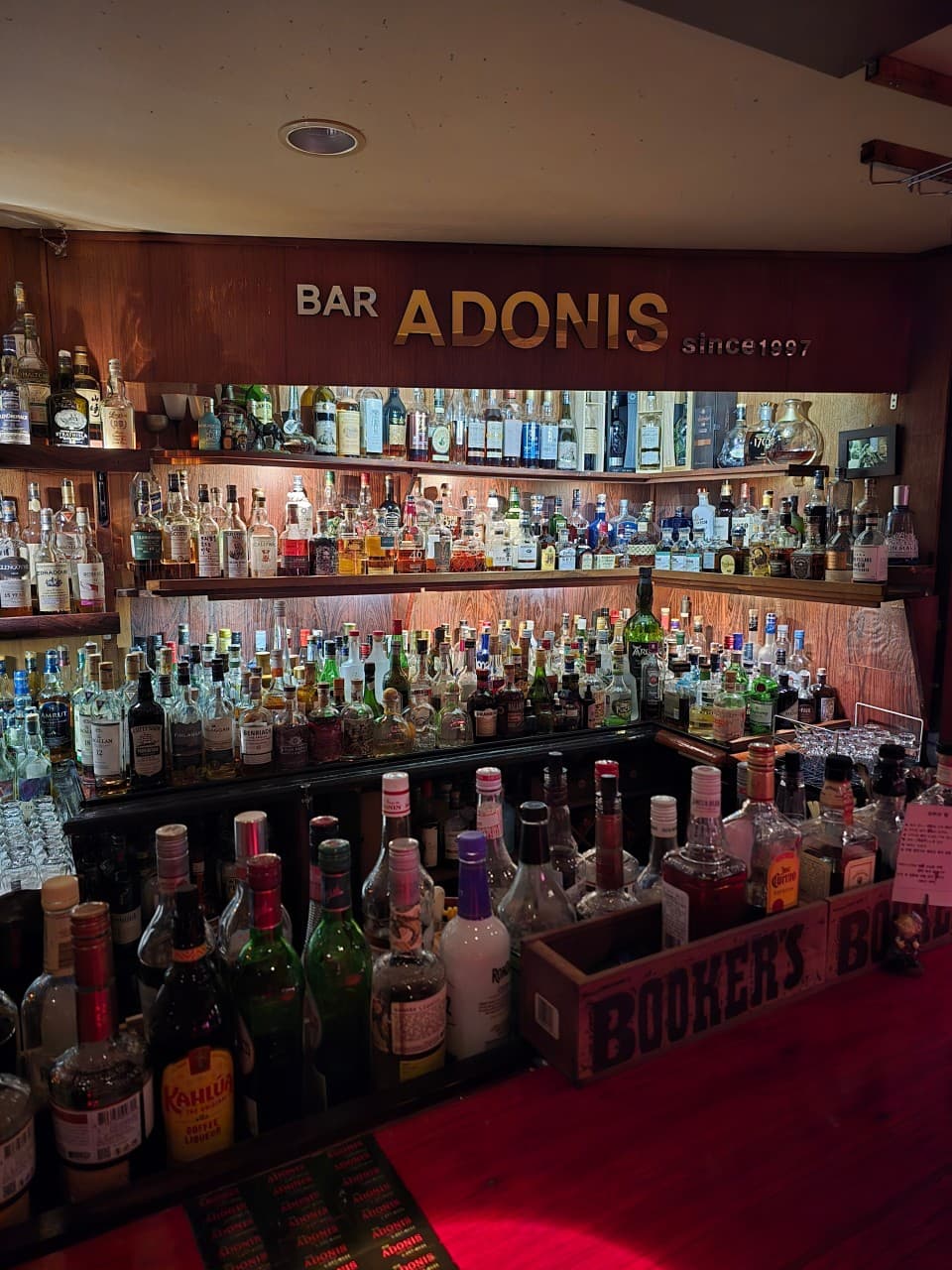 아도니스 - 바(Bar)