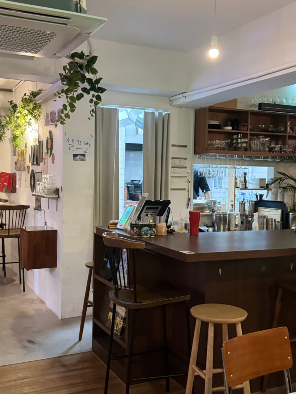 서울특별시 송파구 요리주점 디에스티클럽 석촌. 상단 조명 아래 원목 다찌석과 1인용 바 의자가 배치된 혼술 공간이며 벽면 식물 장식과 오픈 주방이 보이는 전경.