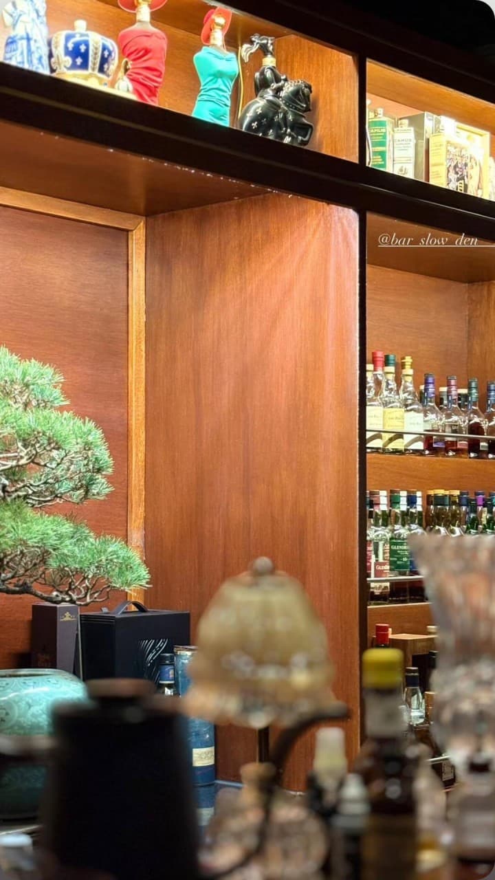 대구광역시 중구 슬로우덴 대구 바(Bar) 목재 선반에 진열된 다양한 위스키 병과 소나무 분재. 주황색 조명이 비치는 1인 다찌석 혼술 상황.