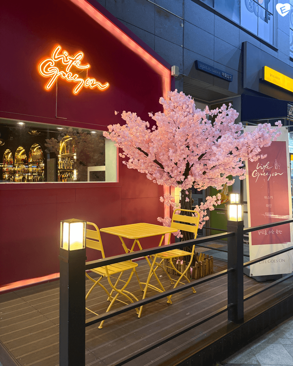 세종특별자치시 나성로 혼술 바(Bar) 르고 세종 - 주황색 네온사인과 벚꽃 나무 아래 노란 야외 좌석, 창문 너머로 진열된 술병들과 1인 다찌석이 보임