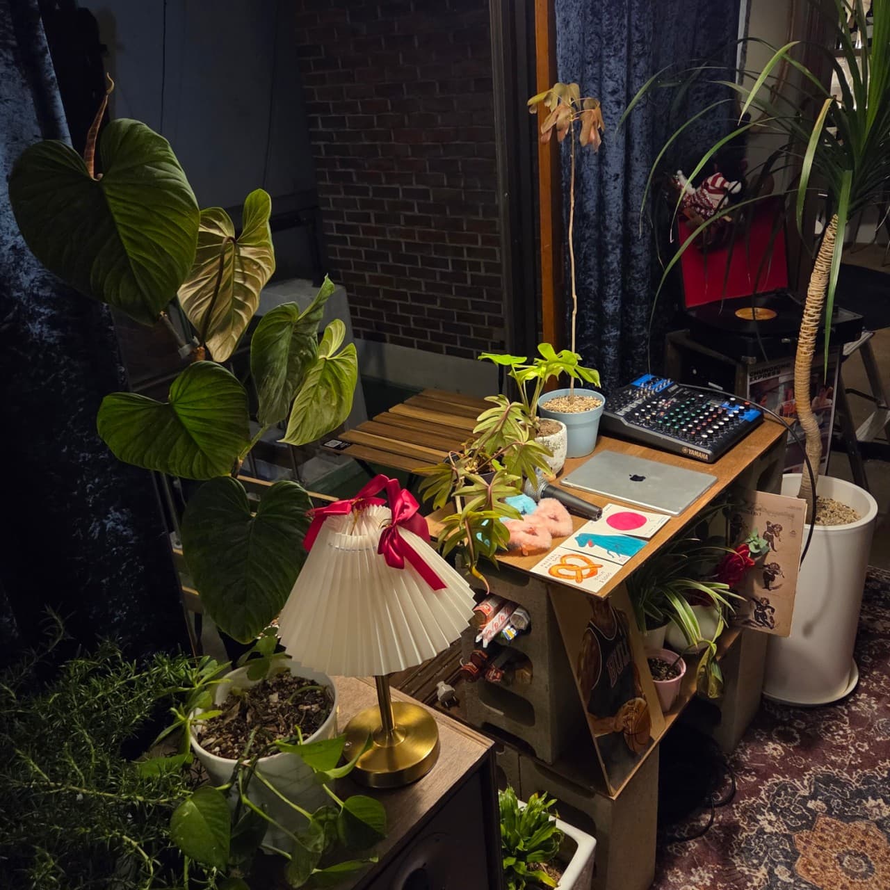 전남광주통합특별시 순천시 은재 전남 바(Bar)의 조명 아래 배치된 식물과 음악 장비. 1인 다찌석 공간에 믹서기와 노트북이 놓여 혼술하기 적합한 내부 구성을 보여줌.