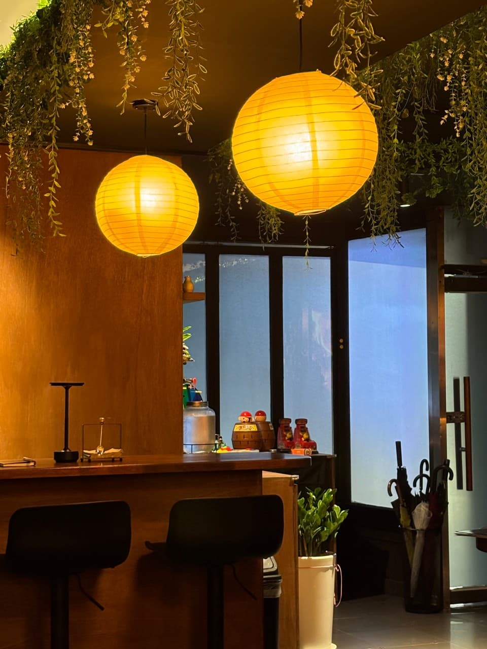 대전광역시 중구 혼술바히히 대전 바(Bar)의 주황색 구형 조명과 식물 장식 아래 나무 소재 다찌석과 1인석 의자가 배치된 혼술 공간.