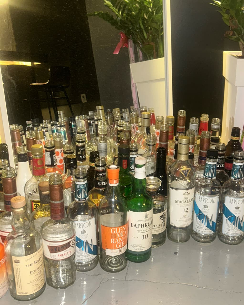 대전광역시 중구 노웨이브 대전혼술바 대흥점 바(Bar) 실내 조명 아래 나열된 맥캘란, 발베니 위스키 병들과 거울 속 다찌석 1인석 혼술 좌석