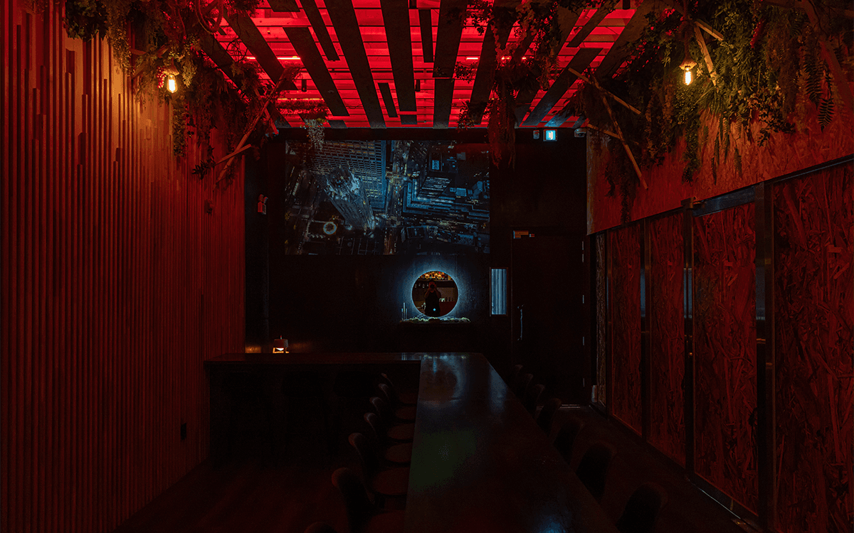 충청북도 청주시 온도홀술바 청주동남지구점 바(Bar)의 붉은 조명과 식물 인테리어. 원목 질감의 벽면과 긴 다찌석, 도시 야경 스크린이 배치된 1인 혼술 공간.